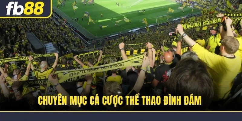 Chuyên mục cá cược thể thao đình đám